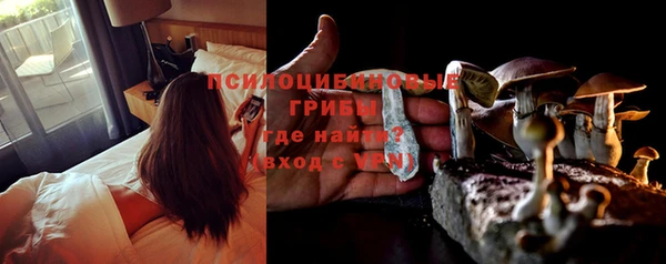 соль ск Абдулино