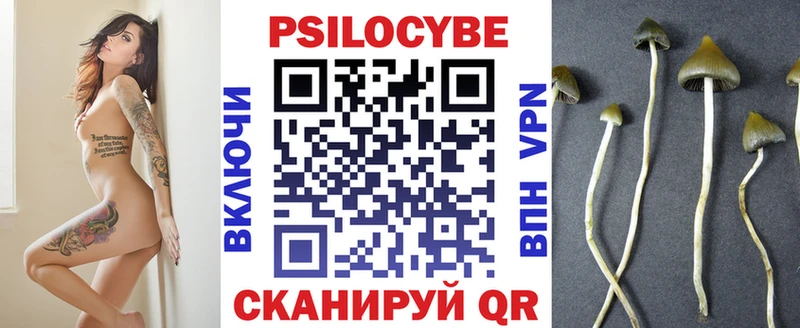 продажа наркотиков  Александров  Галлюциногенные грибы GOLDEN TEACHER 
